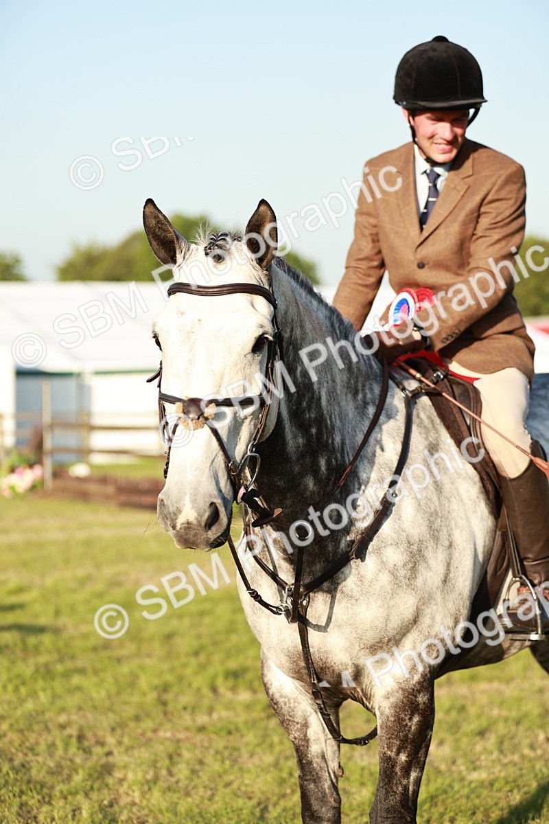 SBM_20582 - Class 117-119 - Sport Horse Working Hunter