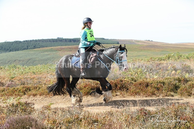 SPXX1716 - 34