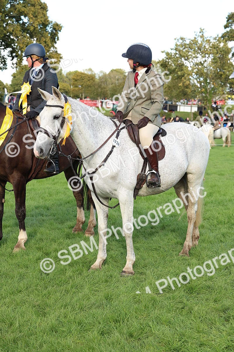 SBM_50201 - S34 - Novice & Newcomers Working Hunter