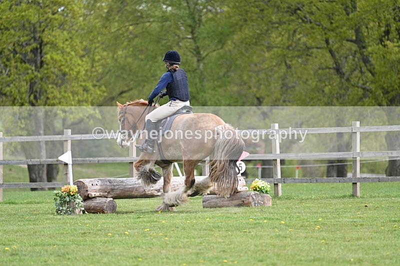 WJ7_6384 - 60cm Time 11:12 to 11:36