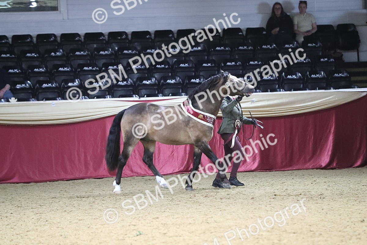 SBM_15451 - Class 501 M&M IH Supreme Final