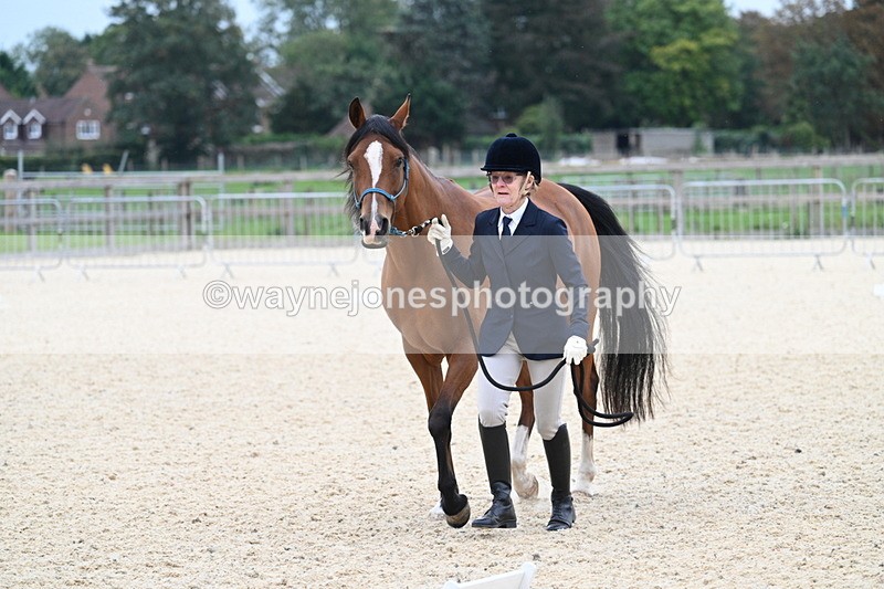 WJ7_1873 - Class 1 & Champs