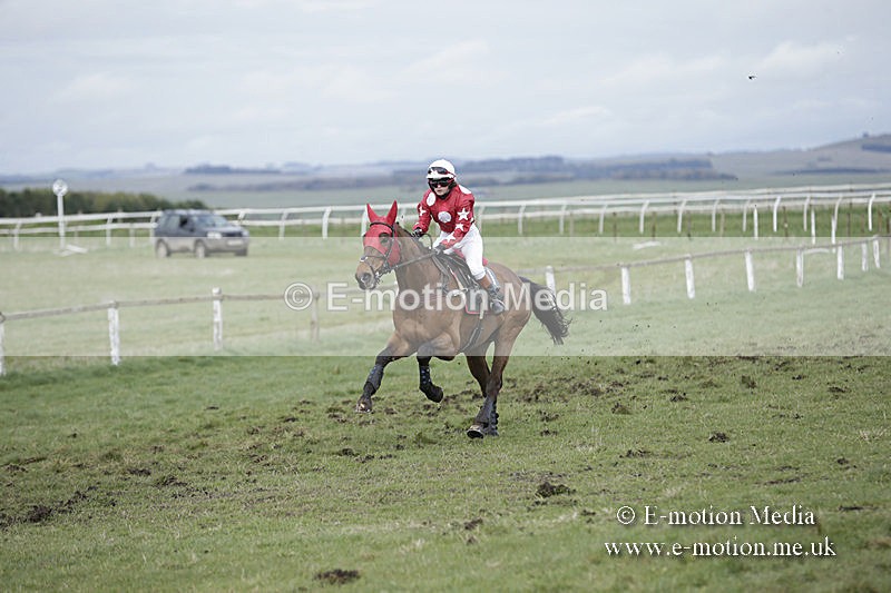 PtP 150320 0663 - New Forest Point-to-Point Larkhill 15/03/20