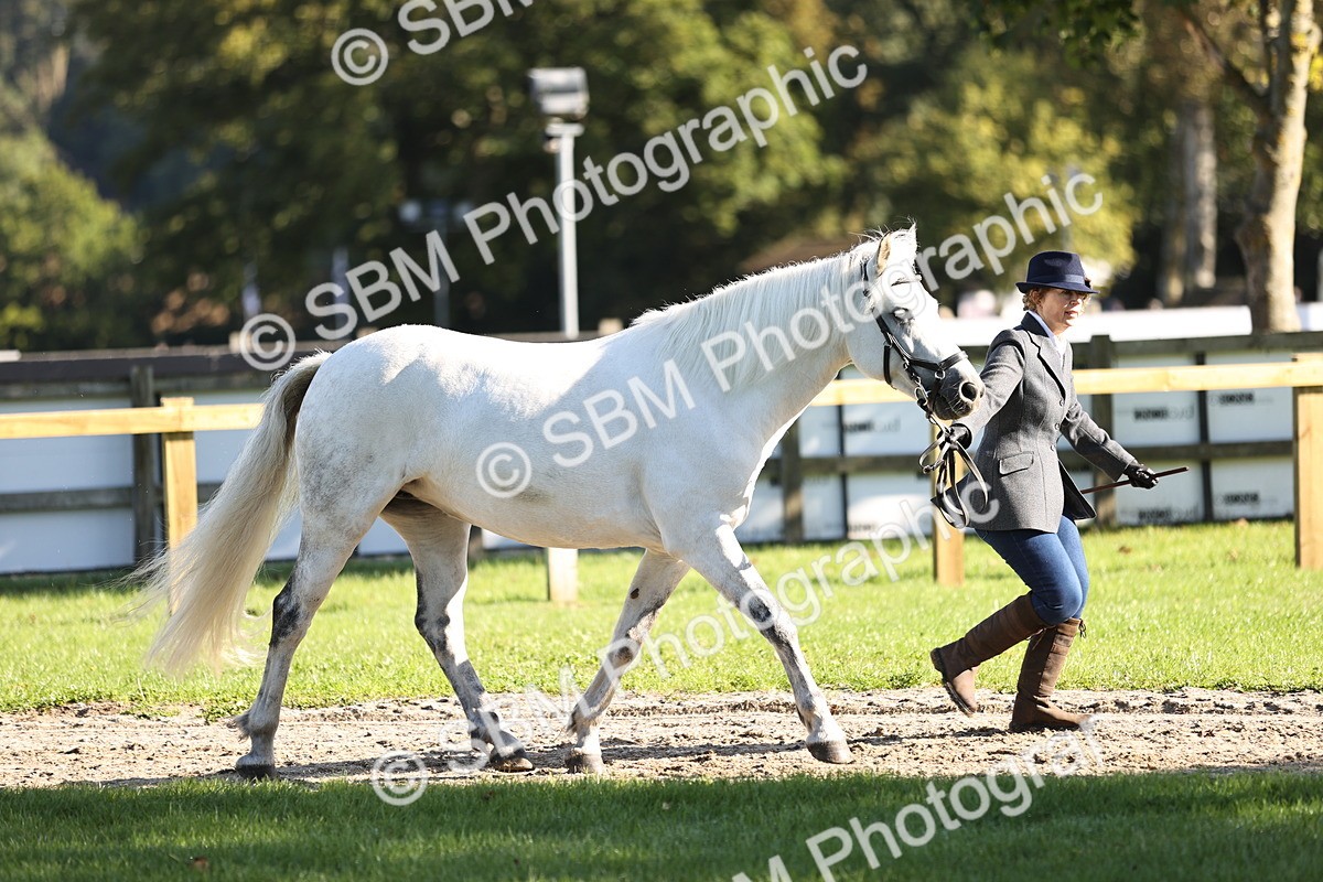 SBM_15872 - S1 - TSR in Hand Horse & Pony Showing