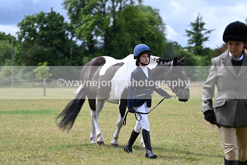 WJ7_6568 - Class 5 Handsome Gelding in hand