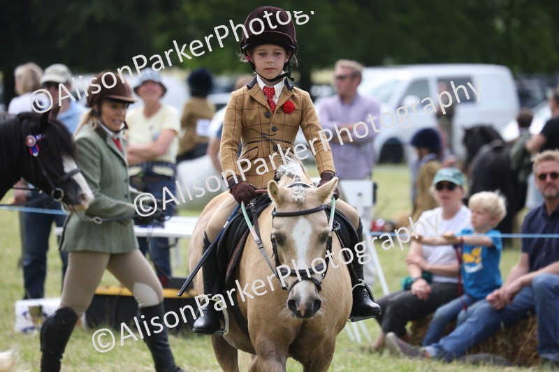 20260614-0813 - Class 20 - Beginners Working Hunter Pony