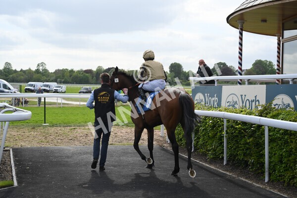 yr13052022r6-11 - Race 6 4.45pm Yorkshire Equine Practice Stakes