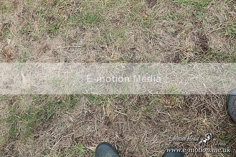 PtPres 160225163 - Presentations Combined Services PtP 16/02/25