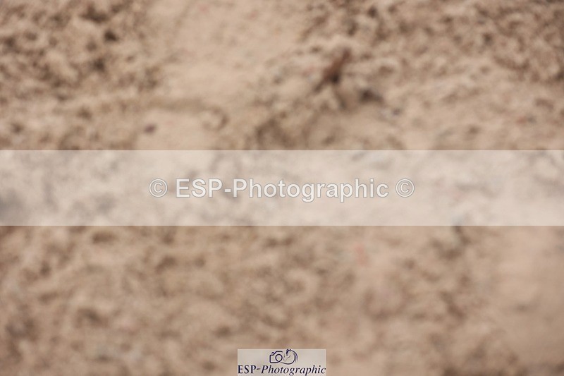 241116X-104142-00939 - Cls 08 Pony Winter Nov Champs