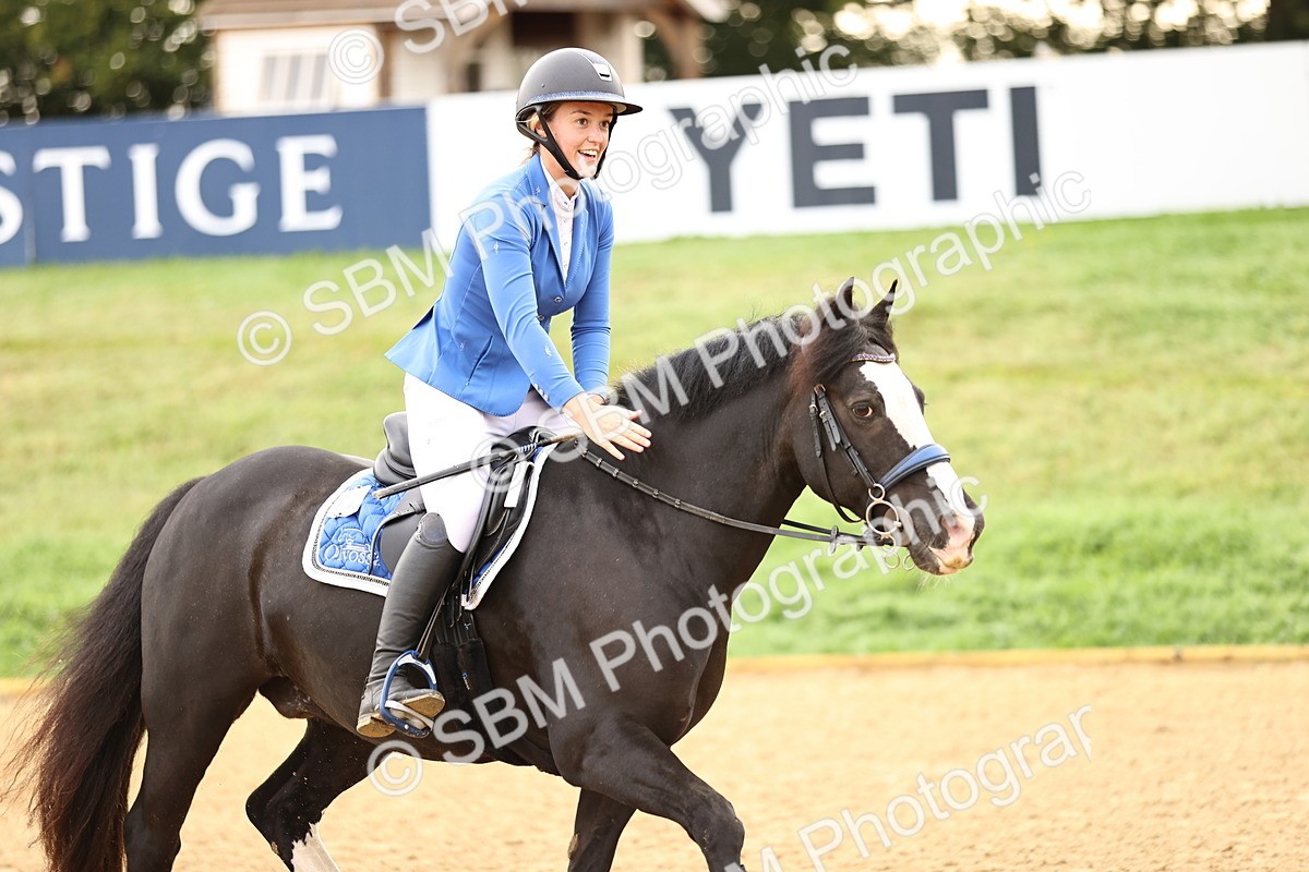 SBM_58275 - J41 - Grand Tour Horse & Pony 95cm