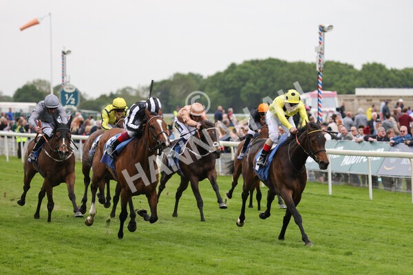 yr13052022r2-14 - Race 2 2.25pm Oaks Farm Stables Fillies' Stakes (registered as the Michael Seely Memorial Stakes)