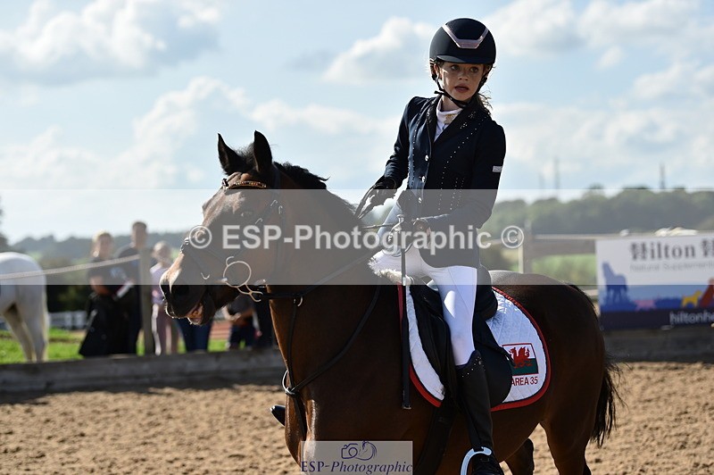 230902A-154250-01999 - Cls 4A Pony Big 95cm