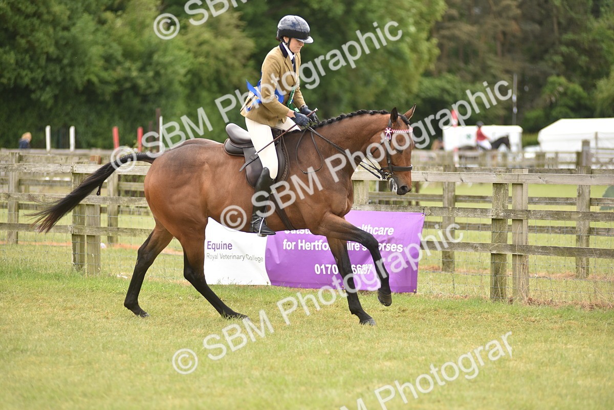 SBM_14280 - Class 113-114 - Retraining of Racehorses Ridden