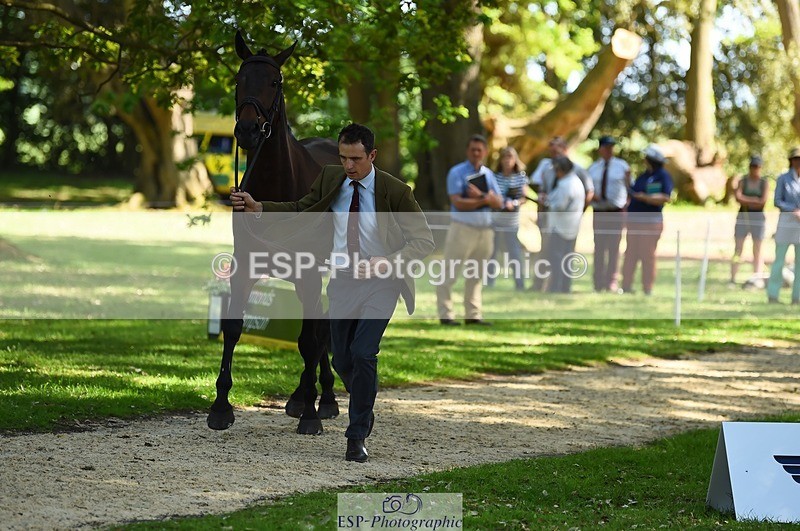 230524-155024-00532 - 380-PUBLIC_ADDRESS-Tom_Strawson-WEDTrotUp+DR