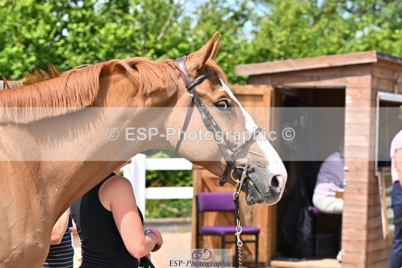240718A-105251-01234 - Trot Up 12pm to 1pm
