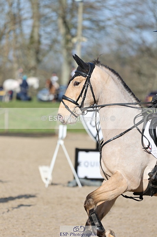 250209A-115905-01000 - 80cm 11.10 to End