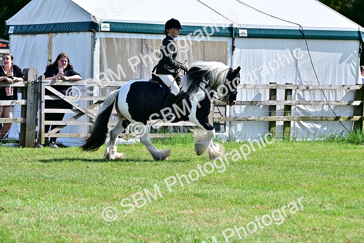 SBM_09313 - Class 63-65 - Traditional Gypsy Cobs In Hand & Ridden