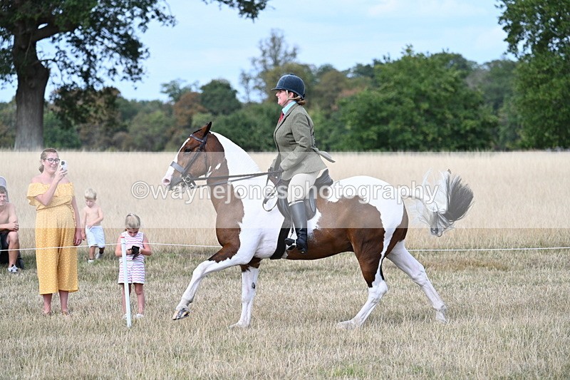 WJ7_7289 - Class 14 Ridden Coloured