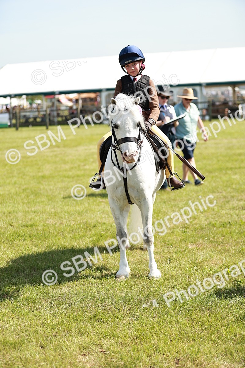 SBM_12805 - Class 106-107 - BSPS LIHS Working Sports Pony