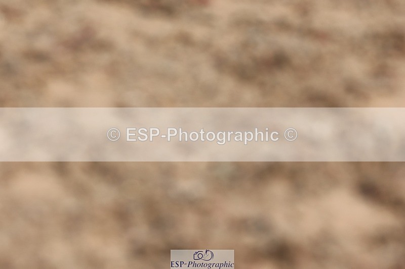 250622-104148-14011 - Cls 47 Novice 5, Start to 11.30am