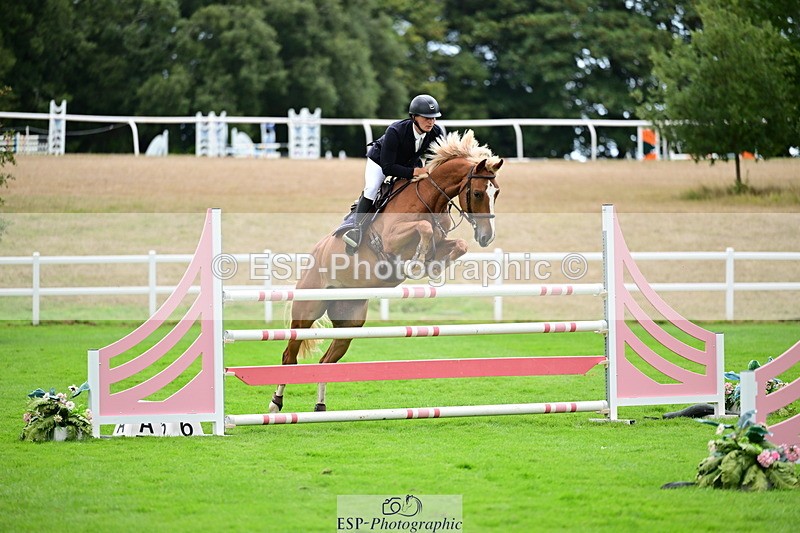 2026-08-21A-DSC_4072 - Cls 2 Snr Foxhunter