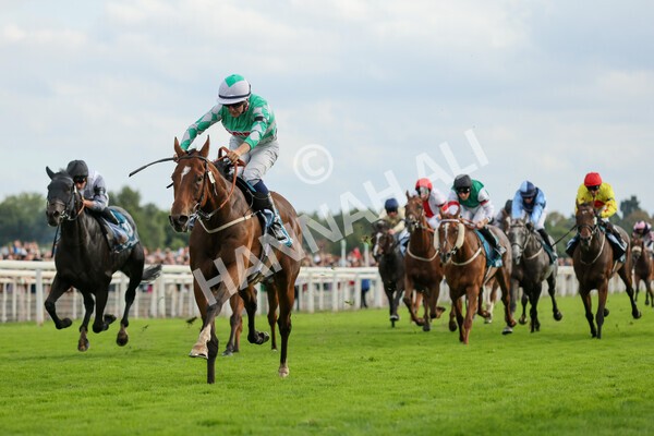 yr04092022r6-32 - Race 6 4.40pm Hanson Springs Stakes