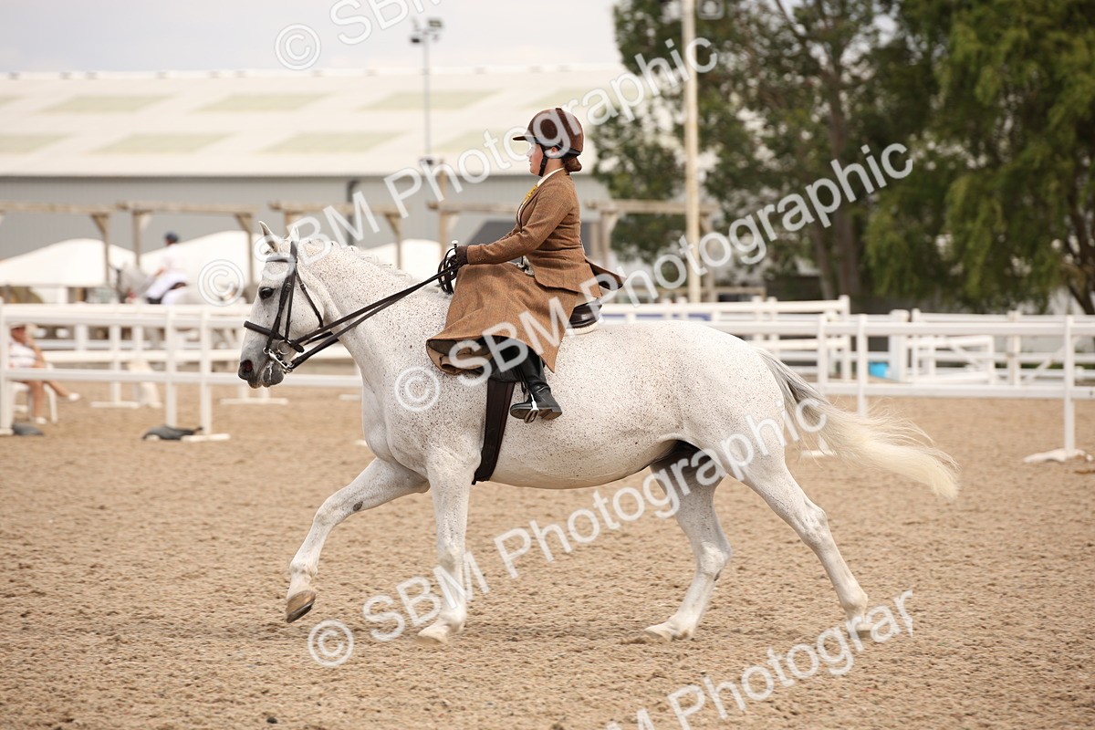 SBM_05425 - Class 22 SSA Equitation