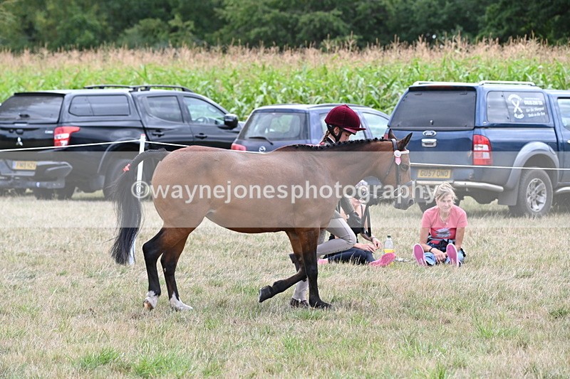WJ6_6192 - Class 19 In-hand Veterans (Uploaded correct folder)