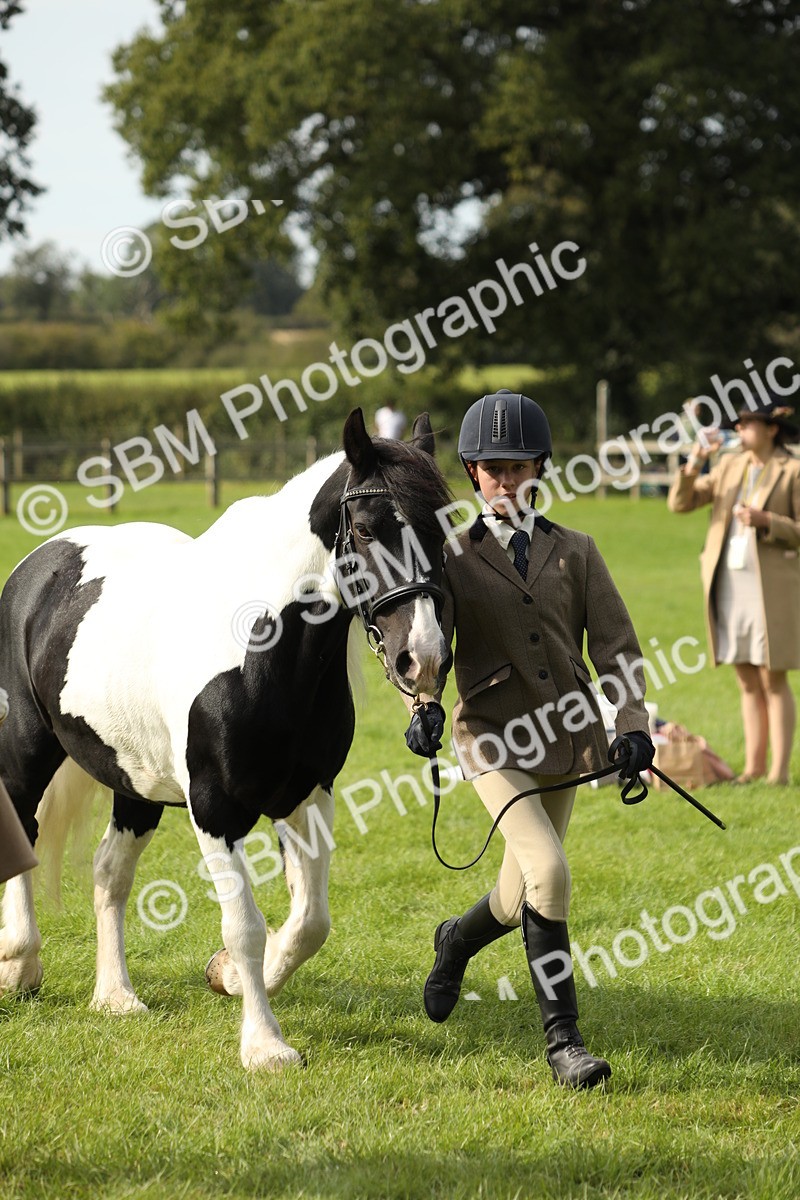 SBM_68696 - S40 - Junior Handler 9-12 Years