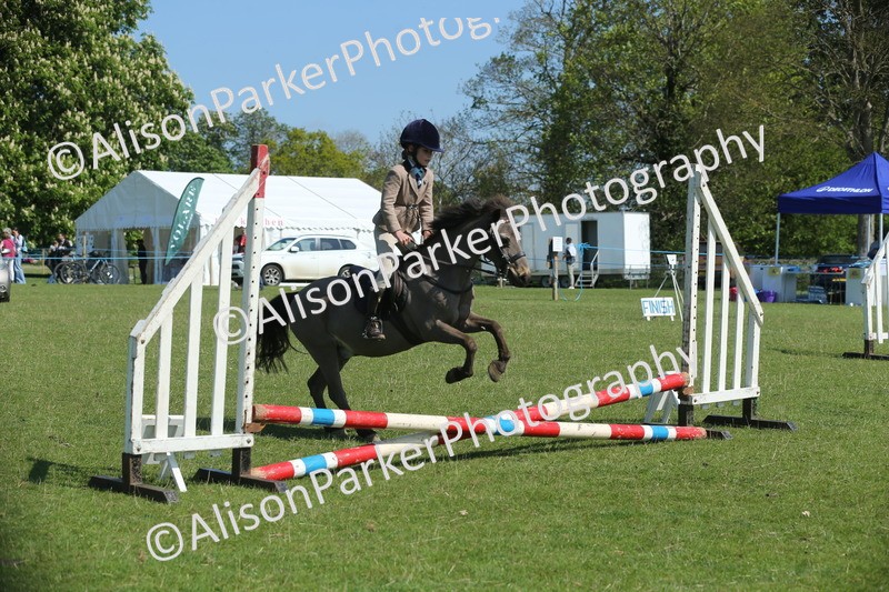 20250427-1930 - Class 2 - Mini Jumping 30cm