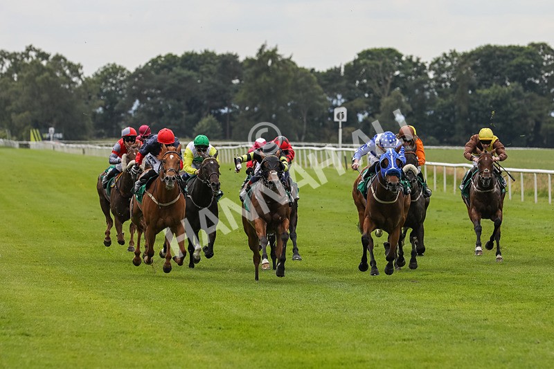 240624-Race 4-Golden Rainbow-0261 - Race 4