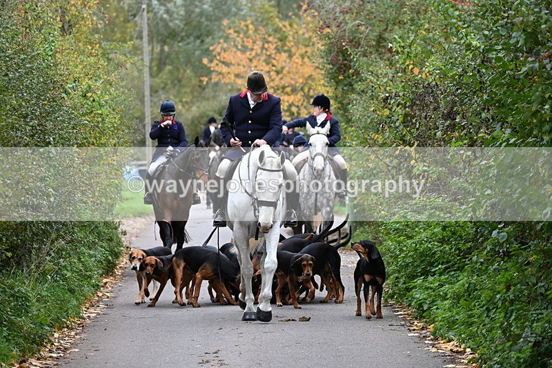 WJ6_8342 - Walk Home..