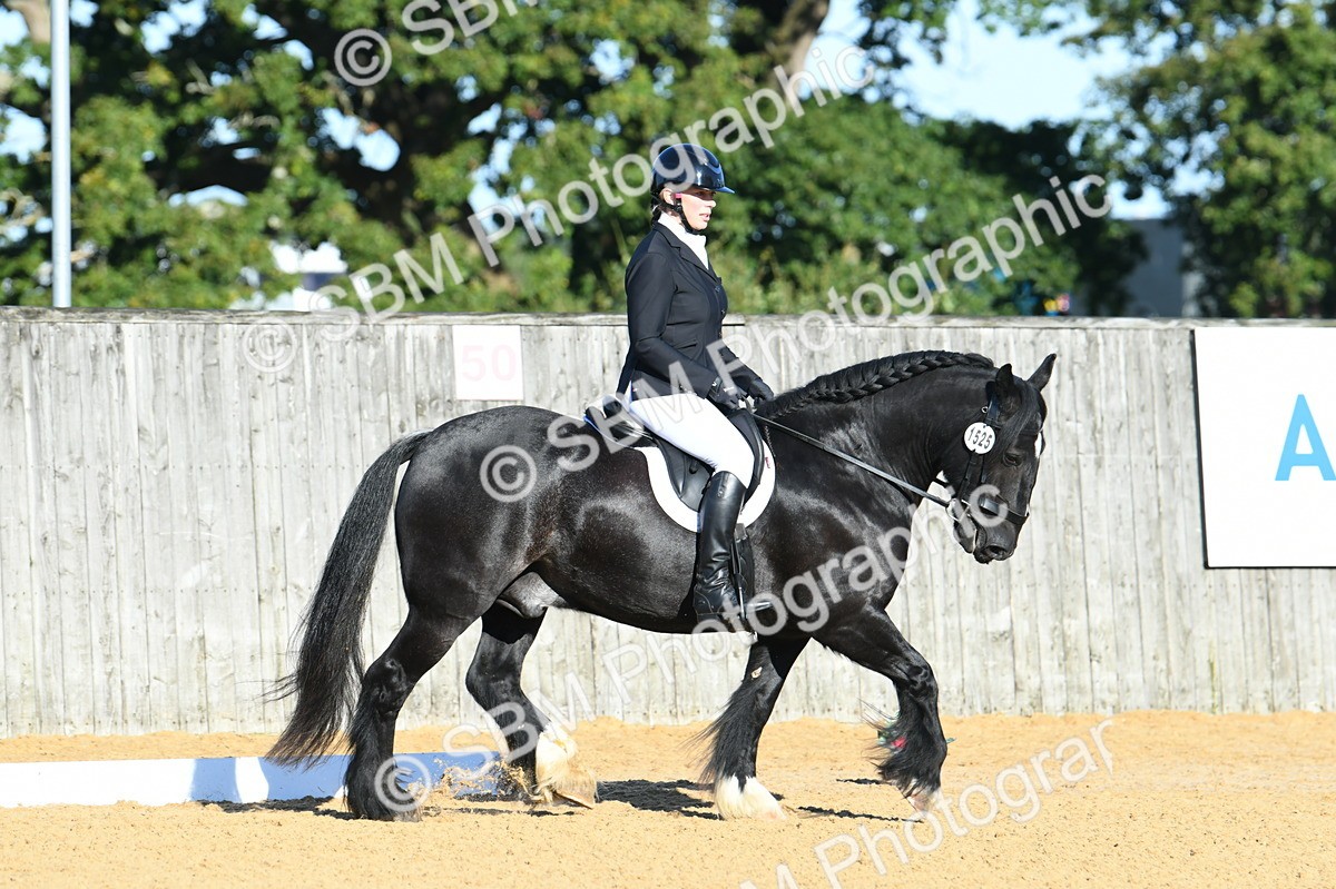 SBM_14495 - D4 - Small Tour Championship - Intro B