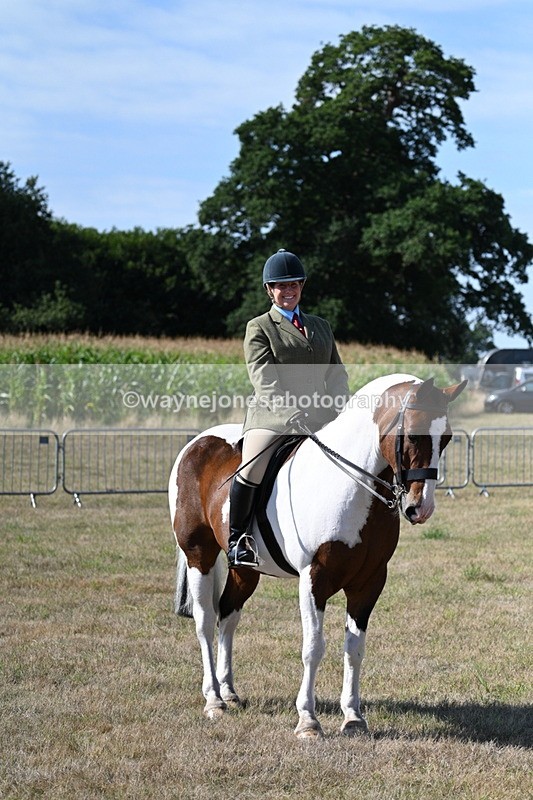 WJ7_3147 - Class 8 Ridden Tack & Turnout