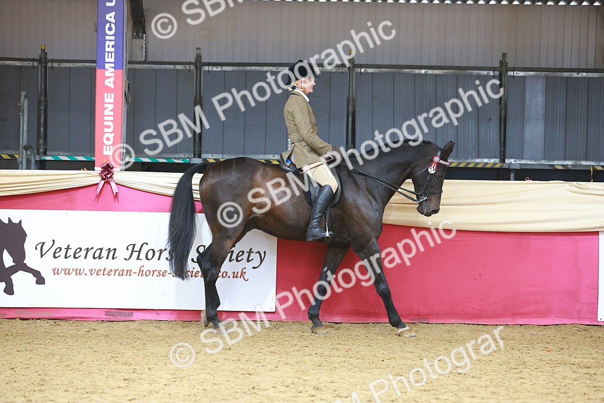 SBM_09591 - Class 102 - HOYS Veteran Qualifier - Ridden Veteran