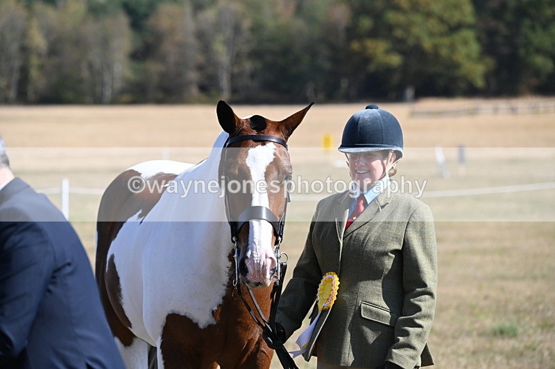 WJ6_4364 - Class 16 Condition & Turn Out