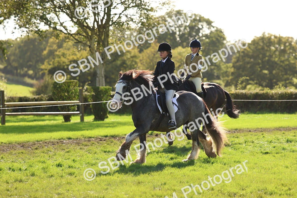 SBM_52456 - S13 - Pony Club Pony