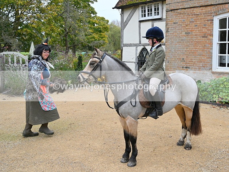 WJ7_6910 - Berks & Bucks - Children's Meet - The Old Farmhouse – Steventon.