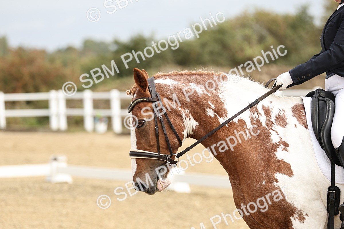 SBM_007320 - Class 25 - FEI PSG Bronze