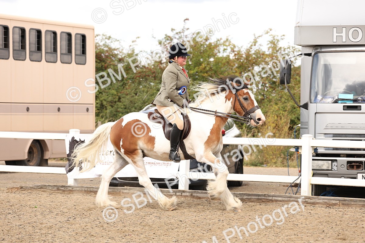 SBM_05244 - Class 56b -  Style & Performance - 50cm (20+)