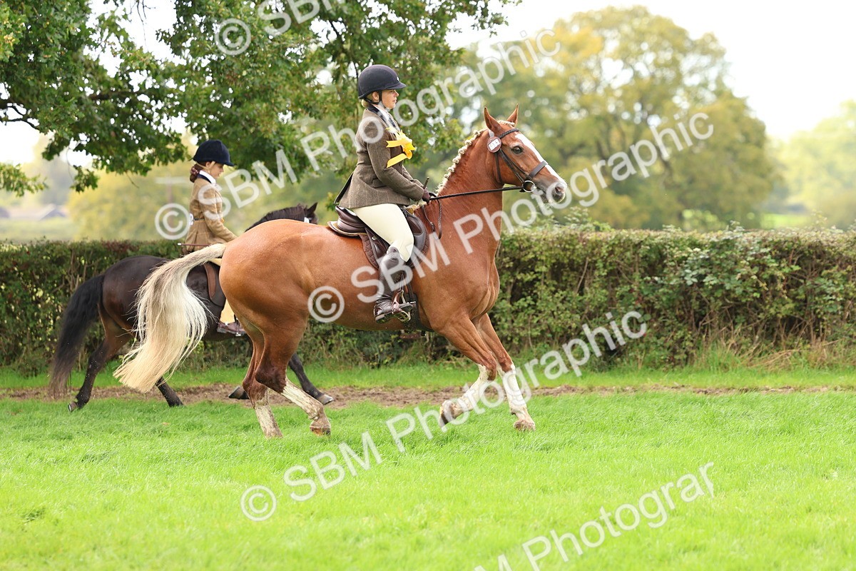 SBM_45151 - S27 - Young Veteran Ridden