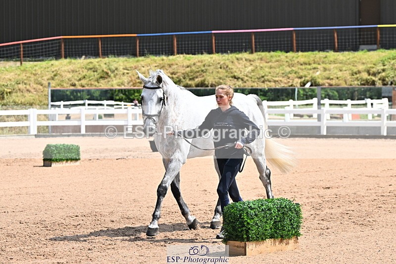 240718A-105249-01193 - Trot Up 12pm to 1pm