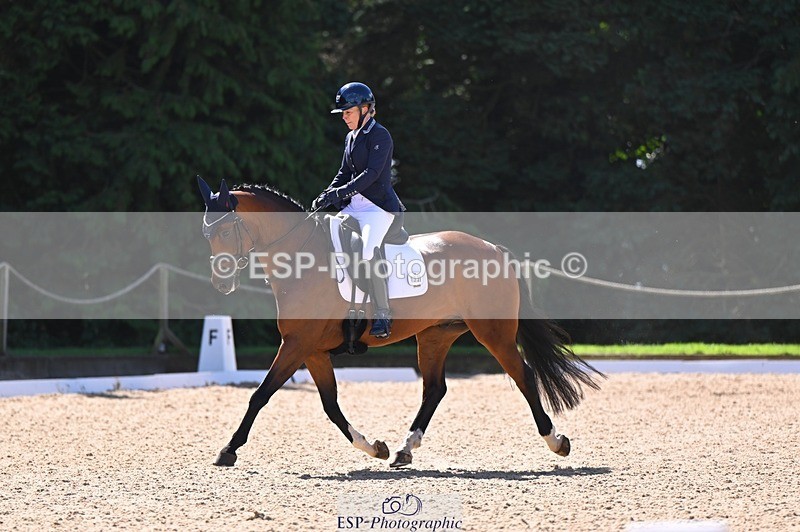 240809-111256-00525 - 133-Dawn.Bear-First.Taylor.Made