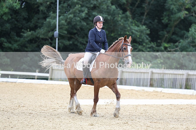 3E7A4731 - Class 1: Intro 4 2024 section A