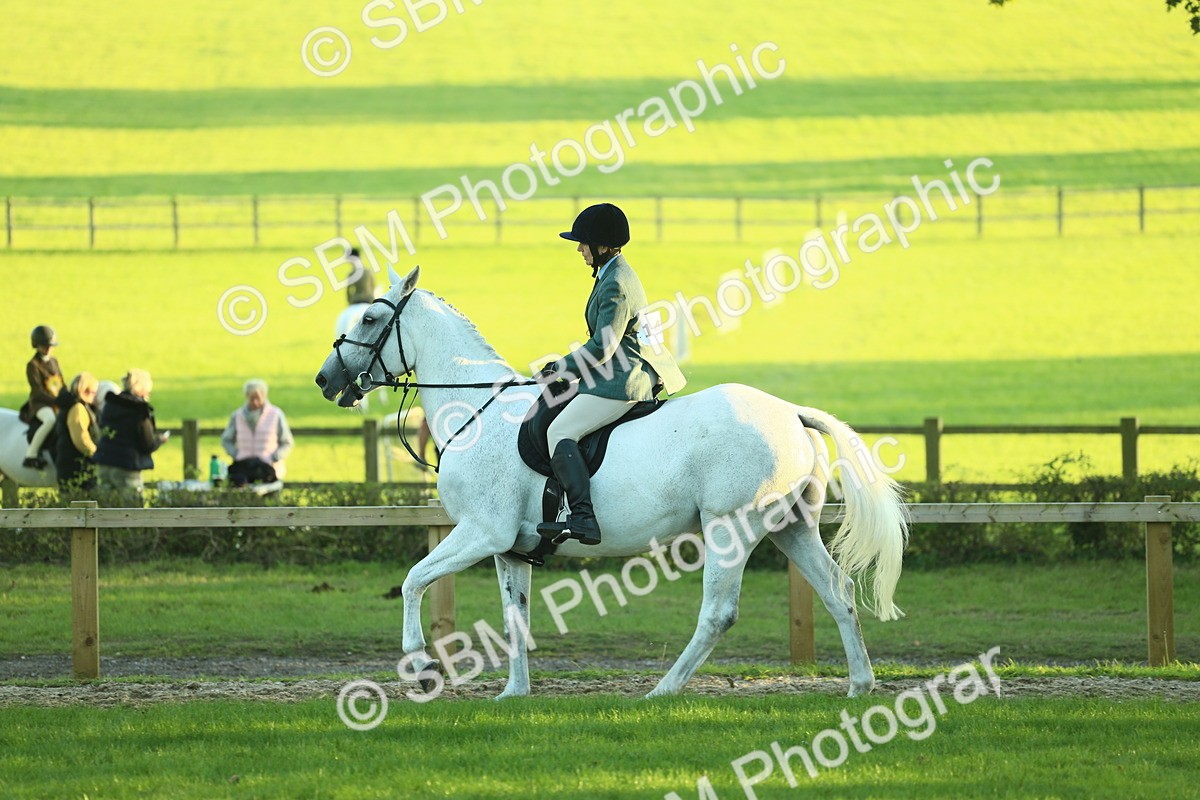 SBM_56416 - S14 - Riding Club Horse