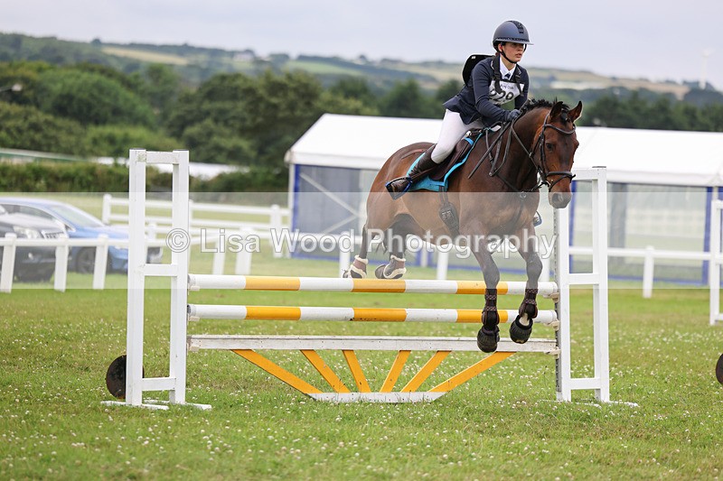 3E7A6965 - Class 7: PC90cm Regional Championship Qualifier Rnd 2 (A)