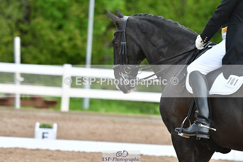 230511A-161441-01318 - BD Cls 18 FEI PSG