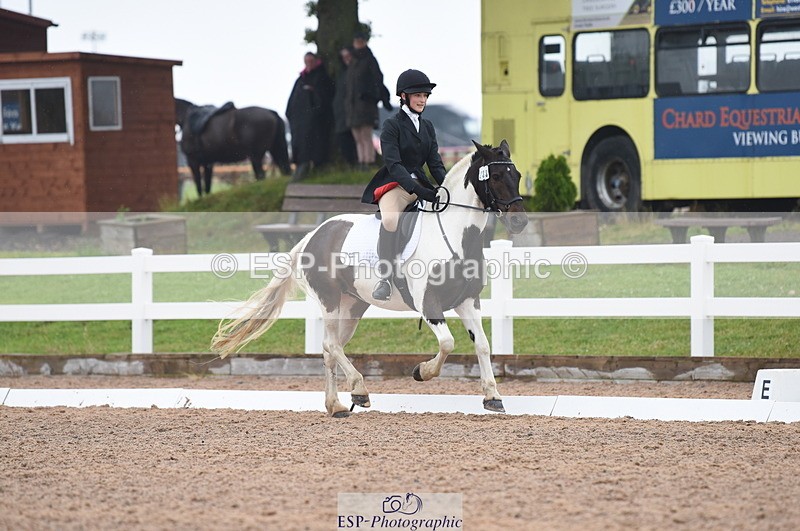 230708A-131942-01888 - Prelim 7