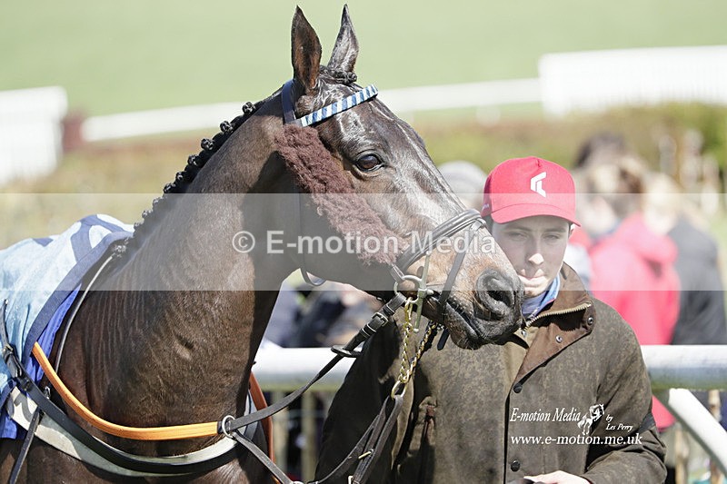 PtP 100423 465 - Old Berkshire Point-to-Point Lockinge 10/04/23