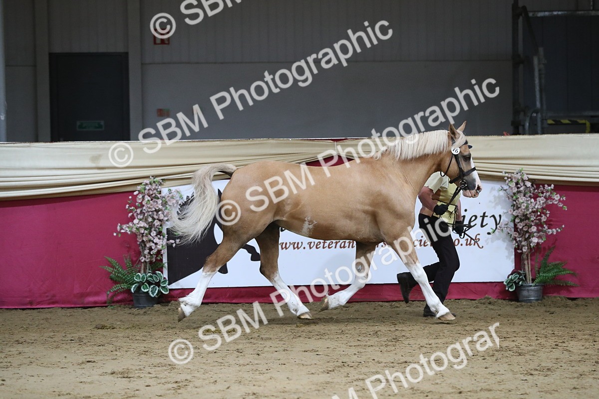 SBM_06283 - Class 9R Regional- IH Pre Vet